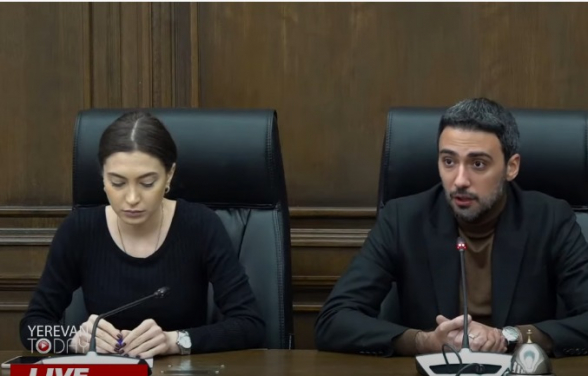 Оппозиционные депутаты представили подробности работы следственной комиссии по правовым вопросам (видео)